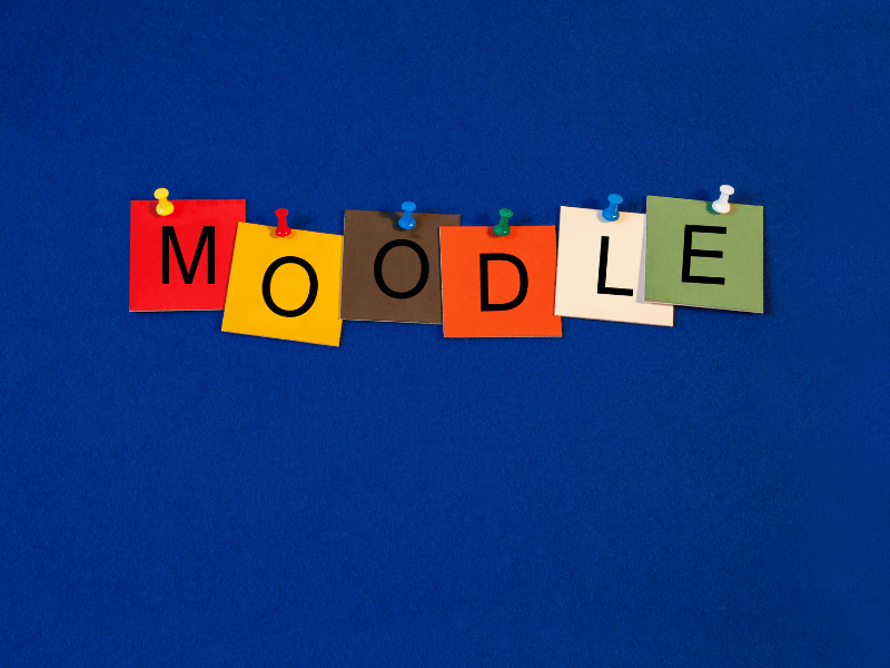 Creación de contenidos y recursos didácticos en internet (Moodle)  (SSCE027PO)