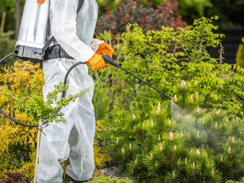 Biocidas tipos y métodos de lucha	(SEAG003PO)